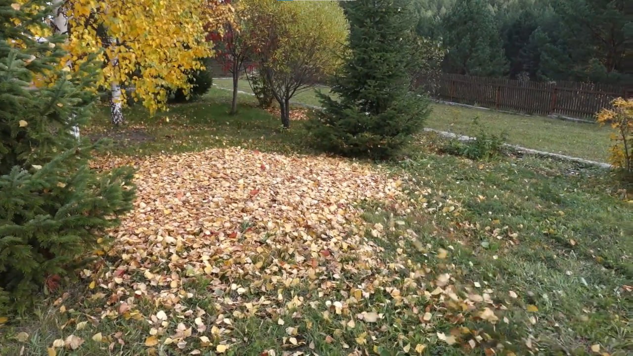 https://ekaterinburg.mslandshaft.ru/storage/app/uploads/public/642/ac5/f22/642ac5f2293e2935715739.jpg