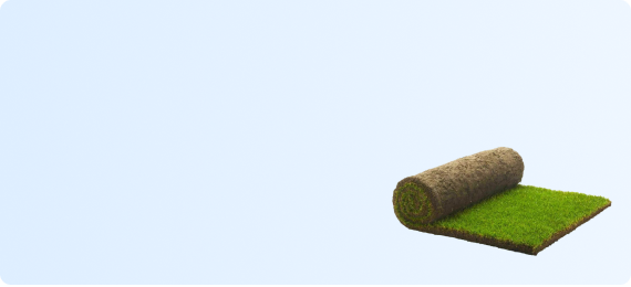 50% скидка на проект!